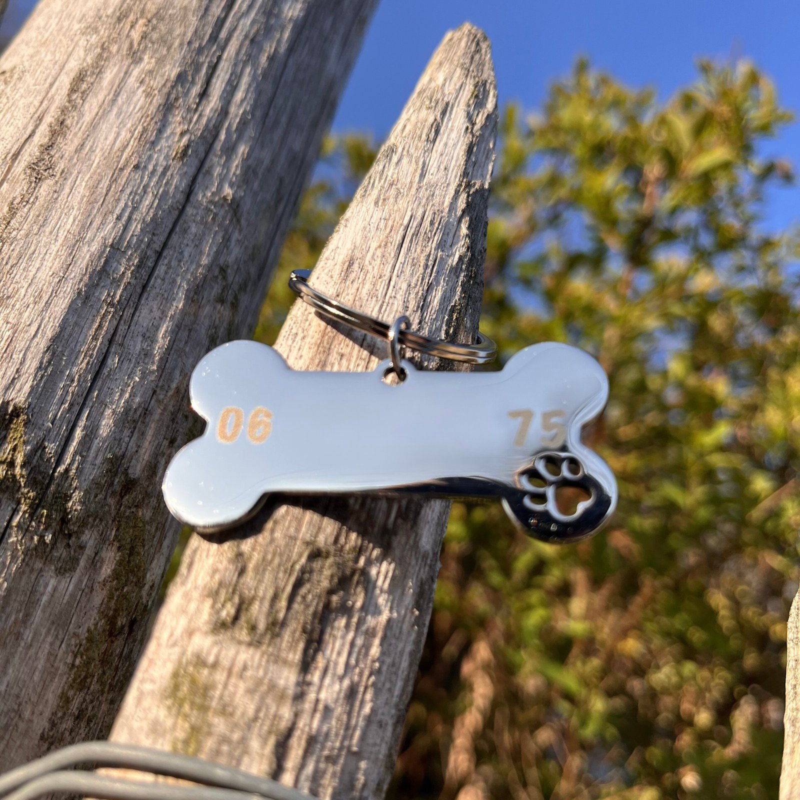 Médaillon pour chien personnalisé en acier inoxydable – Image 3